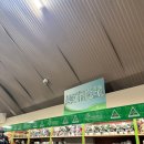 (주)쿠폰트리투어 | [호주 시드니 투어] 페러데일동물원 블루마운틴 세자매봉 에코포인트 로라마을 후기