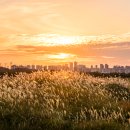 갯골생태공원 이미지