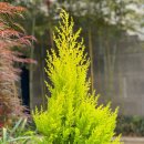 (주)크리스탈 이미지