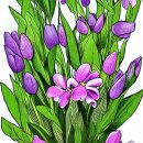 대한약사회 이미지