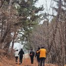 성왕산등산로 이미지