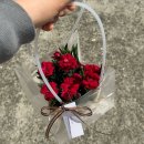 양덕동278 | 꽃집ㅣ포항 꽃집, 양덕동 꽃집 : 벨로아츠 - 어버이날 기념 카네이션 선물하기 딱 좋은 기념품!