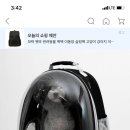 고양이이동장 골라주러 이미지