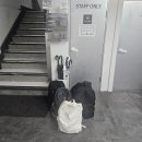 96 STAY 이미지