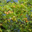 산중가든식당 이미지