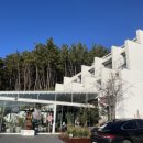 비고리조트 4 이미지