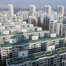 강남e부동산 공인중개사사무소 이미지