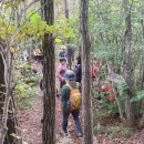 물가펜션 이미지