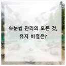 더예쁘지 | 진짜 여기 다녀오면 답 나와요 안양속눈썹 더예쁘지 안양점 후기