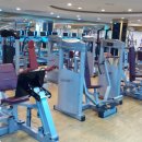 웰브릿지 스포츠 이미지