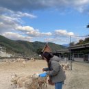 청룡목장 이미지