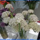 그룸그룸 이미지