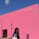 포토폴 | LA 필수 폴스미스 핑크벽 핑크월 포토스팟 후기 Paul Smith Pink Wall