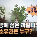 남의 땅에 심은 과일나무, 법적 소유권은 누구? | 법 읽어드립니다! 이미지