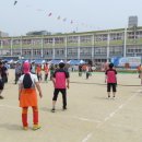 안동용상초등학교 이미지