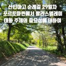 27200-나-31 | 포르토마린에서 팔라스데레이 코스 산티아고 순례길 29일차 어쩌다보니 고자질