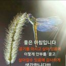 당중초등학교 Daum카페