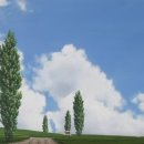 미루나무 이미지