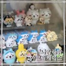 레고팜 | 내돈내산ㅣ나라라팜 아크릴케이스 피규어장식장ㅣ투명 피규어케이스 3단 장식장 실사용 후기