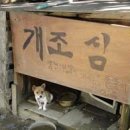 개조심 네이버블로그