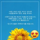 당신의 남은 8월이~~~이 이미지