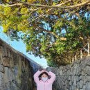 강정동-57 이미지