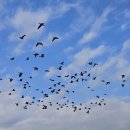 창리 버스정류장 이미지