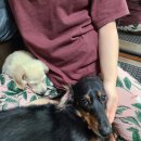 하일할머니 이미지