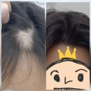 유.에이치바버샵 네이버블로그