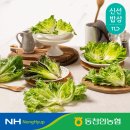 유러피안 샐러드채소 1kg 7720원!! 이미지