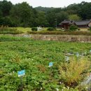 조엄기념관 이미지