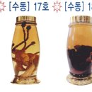 호남유리