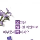 피부연가