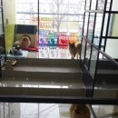 오산25시종합동물병원 이미지