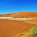 나미브(NAMIB)