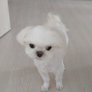 강남봄약국 이미지