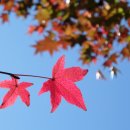 삼천포중앙시장 이미지