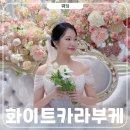 빈이농장 | 화이트 카라부케 온도플라워 호접 드롭부케 본식 후기