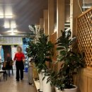 종가숯불뒷고기 이미지