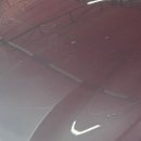 대소골프클럽 이미지