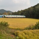 배미축산