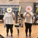 켐코 | 양재휘트니스 자마이카휘트니스 강남뱅뱅점 이용후기 강남 고급 휘트니스 추천 헬스장추천