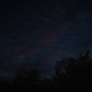 박영애농장 이미지