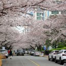 남천동 삼익비치아파트 216동 옆 이미지