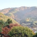 비슬산 풍경펜션 | 창녕펜션 비슬산펜션 가족여행 독채 힐링 숙소 후기