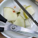 삼동 구름산추어탕