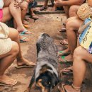 가온동물병원 이미지