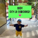 3.1.공원 이미지