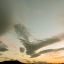 가끔은게스트하우스 이미지