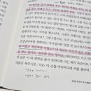 바다로일이오